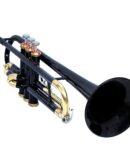 Trumpet Black Color Bb low with including mouthpiece